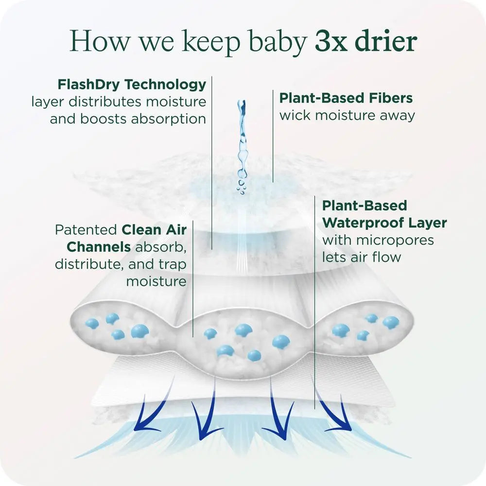 Healthy Baby Disposable Diapers - Size 6 - 34Ct