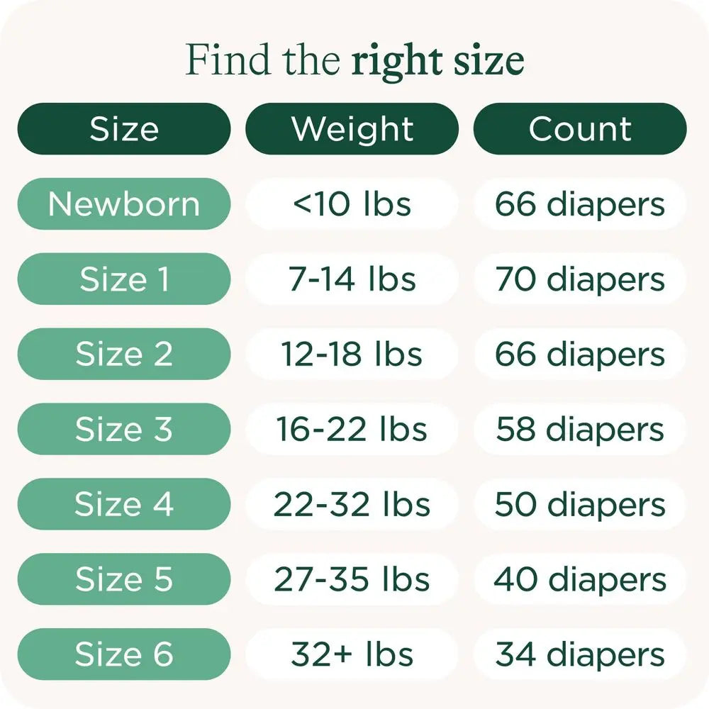 Healthy Baby Disposable Diapers - Size 6 - 34Ct